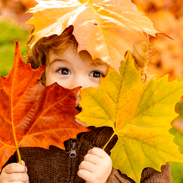 Barn holder farverige efterårsblade i hænderne udenfor